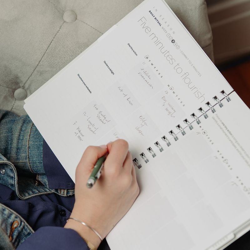 The Collection: One for Every Season